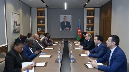 Zimbabve "ASAN xidmət" modelini tətbiq edəcək - FOTO