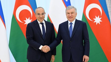 Mikayıl Cabbarov Şavkat Mirziyoyevin qəbulunda - FOTO