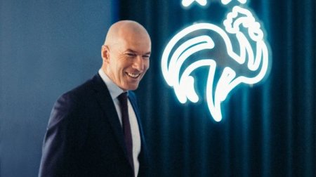 Zidan gəldi, Fransa millisinin loqosu dəyişdi - FOTO