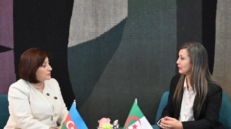 Azərbaycan və Əlcəzair parlament rəhbərləri görüşdü - Detallar