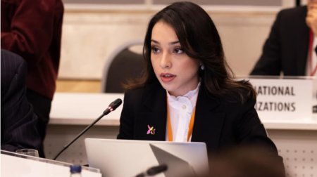 Nəzrin Əliyeva: &ldquo;İkin düşmüş şəxslərin taleyinin naməlum qalması ağır humanitar faciədir&rdquo; &ndash; VİDEO