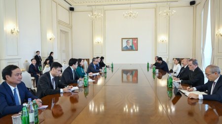 Prezident və birinci xanım Vyetnam nümayəndə heyətini qəbul etdi - FOTO