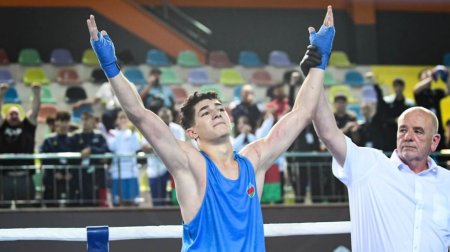 Avropa çempionatı: Daha 7 boksçumuz növbəti MƏRHƏLƏDƏ