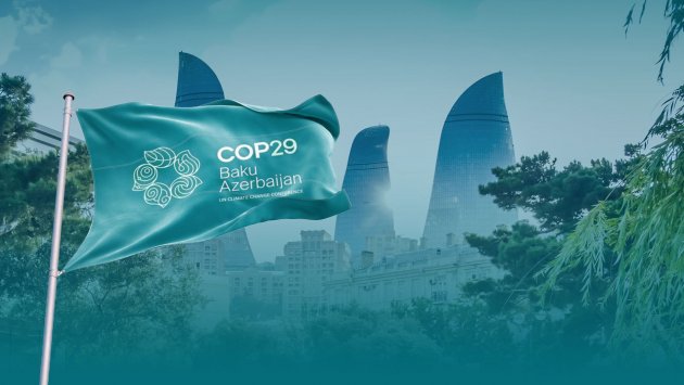 COP29-da 300 milyard dolların təsdiqləndiyi an - VİDEO