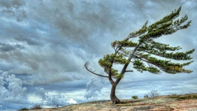 Bölgələrdə külək güclənib - FAKTİKİ HAVA