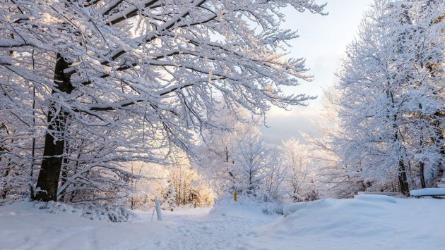 Azərbaycana qış fəslinin daxil olacağı tarix AÇIQLANDI