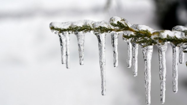 GÜNÜN HAVASI: 10 dərəcə şaxta, duman...