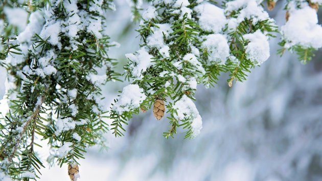 Hava KƏSKİN DƏYİŞİR &ndash; Külək güclənəcək, qar yağacaq