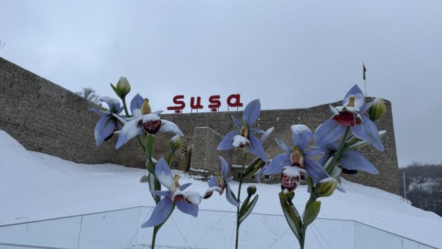 Şuşa yenidən ağ örpəyə büründü - FOTO