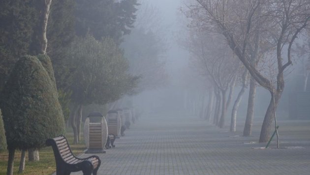 GÜNÜN HAVASI: 14 dərəcə isti, duman...