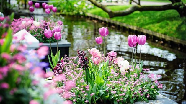 Azərbaycana yaz gəldi