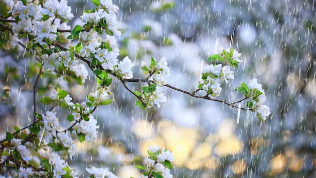 Yağış yağacaq, güclü külək əsəcək &ndash; SABAHIN HAVASI