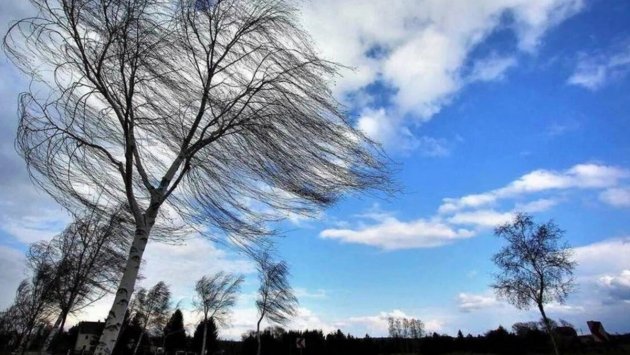 Bakıda və rayonlarda yenə güclü külək əsəcək &ndash; XƏBƏRDARLIQ