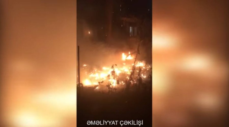 Bakıda ağaclıq sahədə YANĞIN OLUB - VİDEO