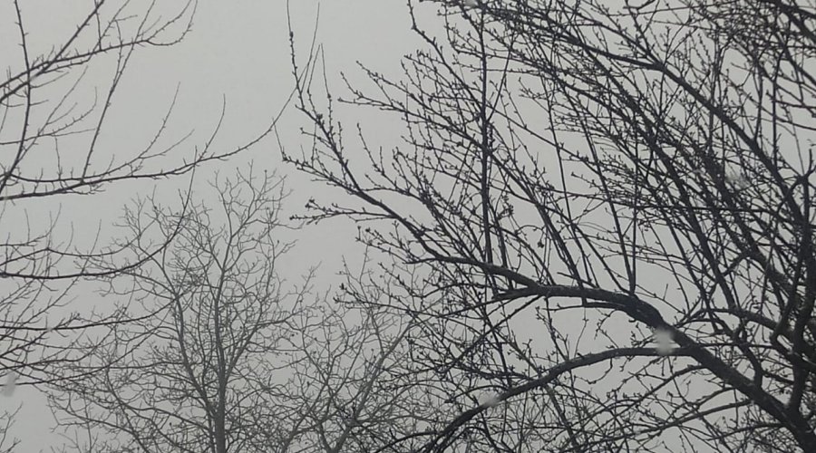 Bu bölgəmizə də qar yağır - FOTO/VİDEO